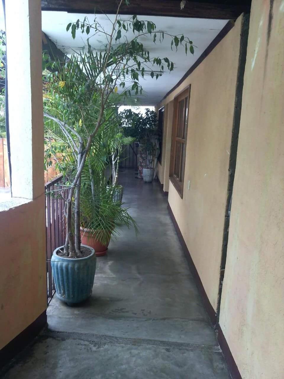 Hospedaje Eli פנחאצ'ל מראה חיצוני תמונה